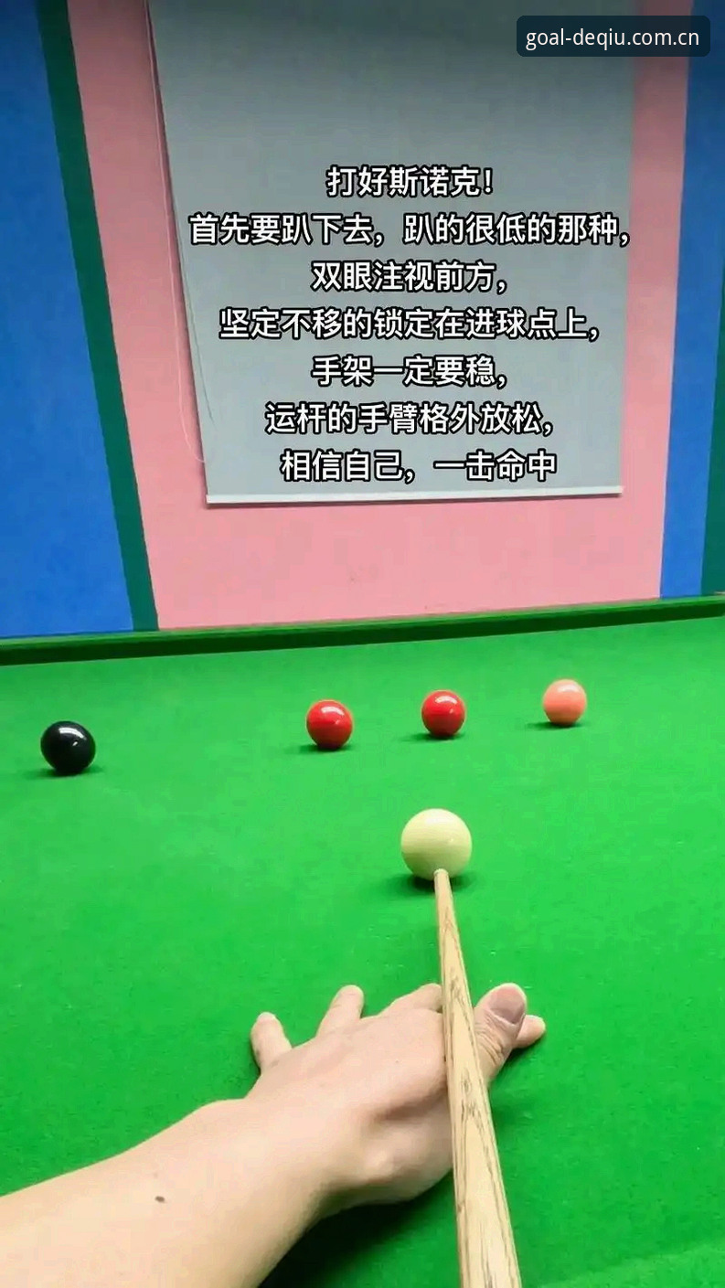 得球体育平台安卓端深度评测：访问更快更稳，从“够用”到“好用”的升级体验